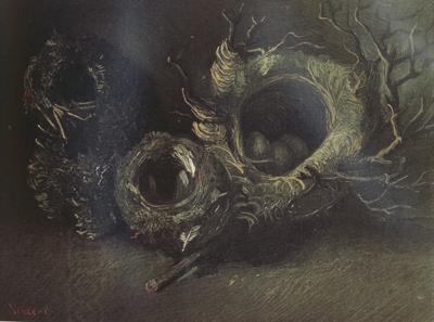 Vincent Van Gogh Still life with Three Birds'Nests (nn04)